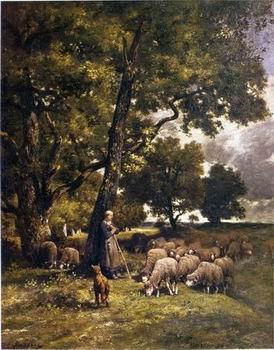 unknow artist Sheep 167 Germany oil painting art
